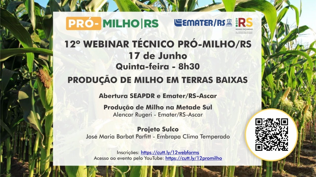 12&ordm; WEBINAR T&Eacute;CNICO PR&Oacute;-MILHO/RS:  Produ&ccedil;&atilde;o de milho em terras baixas