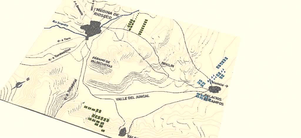 La batalla de Medina de Rioseco (Guerra de la Independencia Española - I)