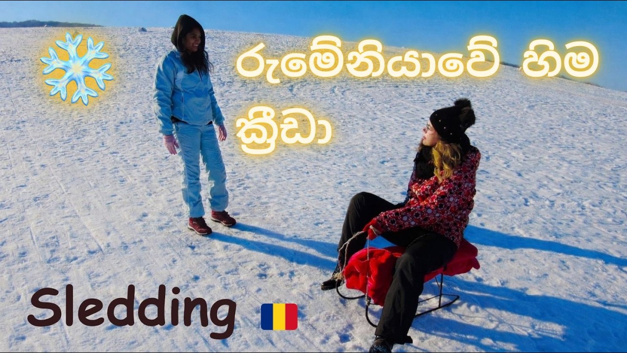 රුමේනියාවේ හිම මත Sledding කරමුද? 🛷❄️🇷🇴 | Sighișoara | Winter Sledding