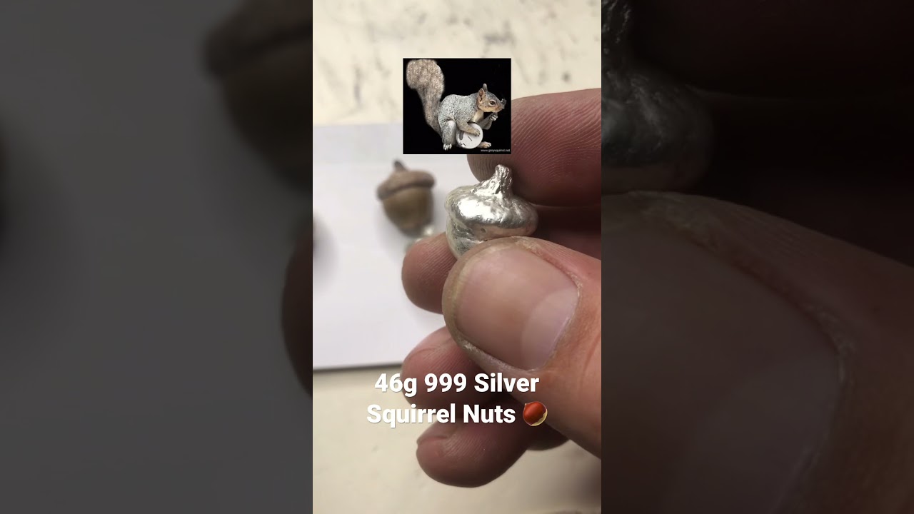 #shorts #silver #bullion 46g 999 Silver Squirrel Nuts 🌰