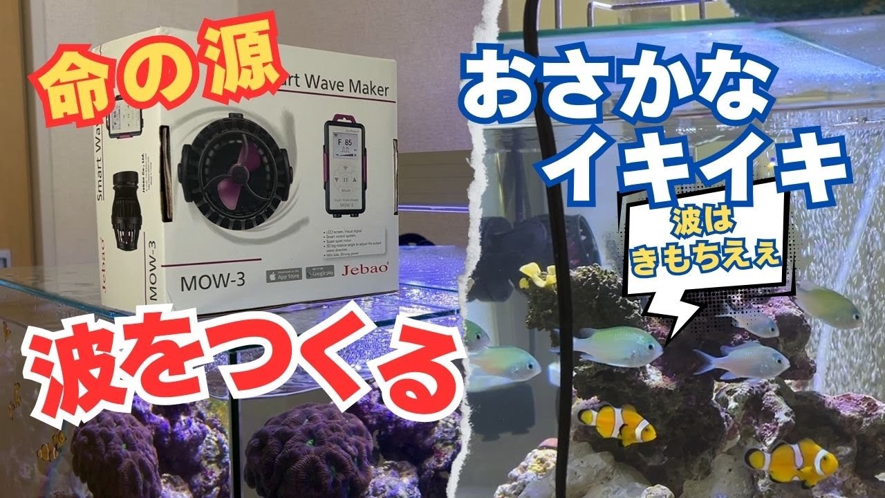 【アクアリウム】海水魚は波が命/リーズナブルな割に細かな設定ができる水流ウェーブ