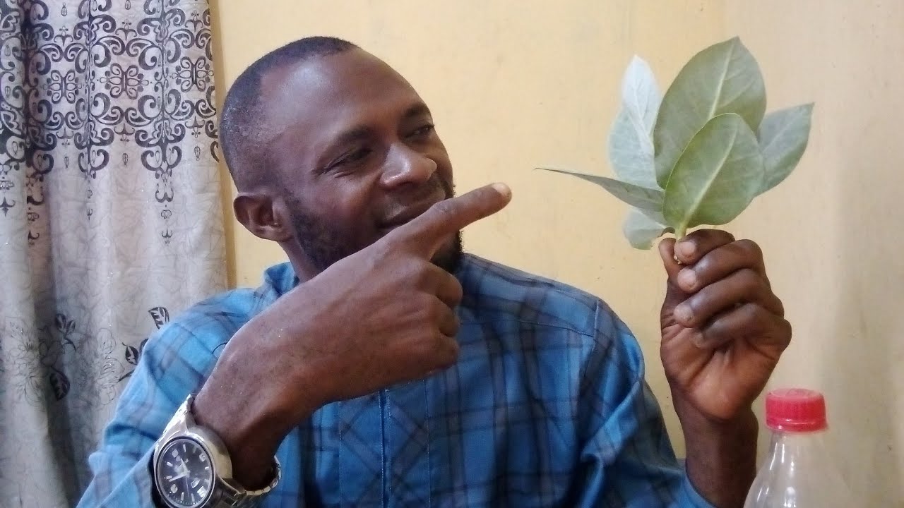 IWULO EGBO BOMUBOMU FUN AISAN OGUN'ORU