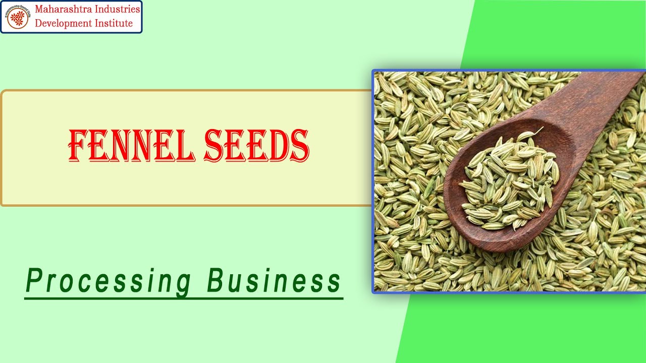 Fennel Seeds Processing Business