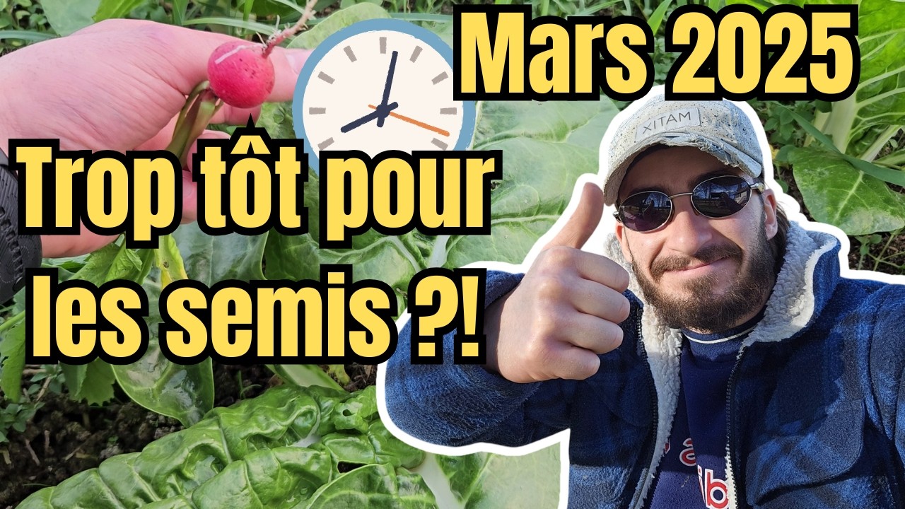 COMMENT bien démarrer ses SEMIS en 2025 ? Tomates, Poivrons, Piments...