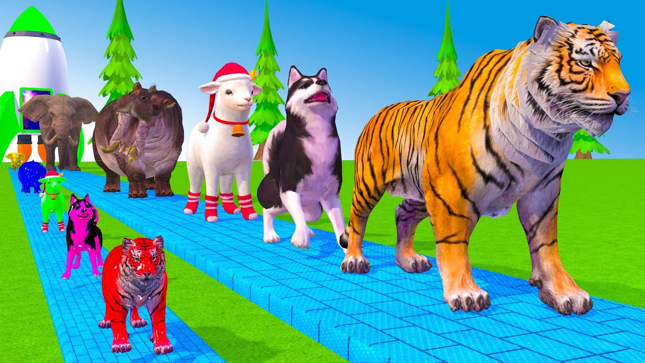 Long Slide Game With Cow Elephant Gorilla Hippopotamus Tiger 3d Animal Game Funny 3d Animals
