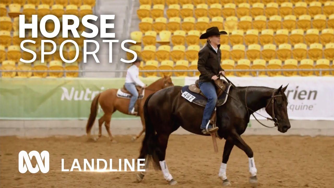 Call of the Campdraft: Booming interest in performance horse sports 🐎 | ABC Australia