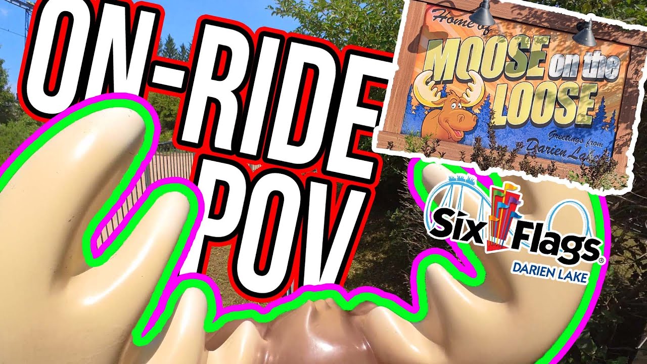 MOOSE ON THE LOOSE | ON-RIDE POV | Non-copyright | 4K