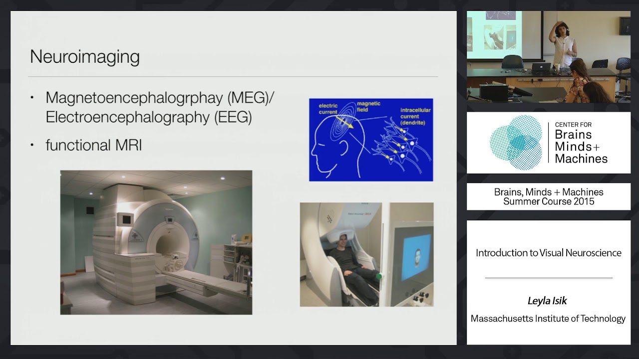 Tutorial 1: Leyla Isik - Introduction to Visual Neuroscience
