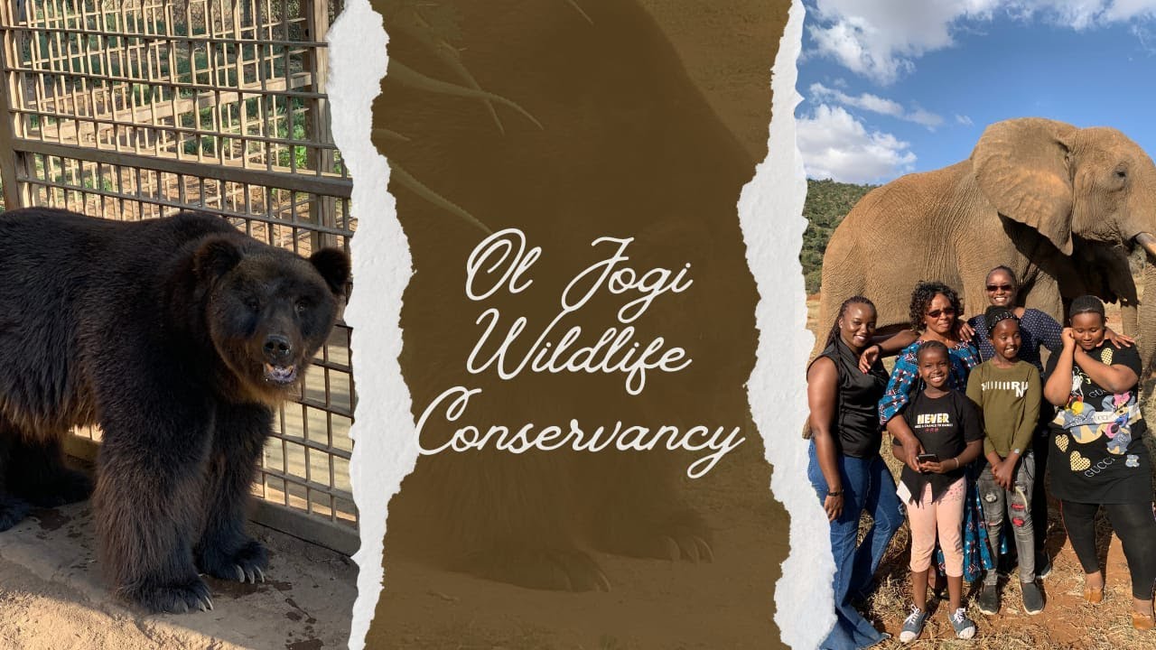 Exploring Ol Jogi Wildlife Conservancy | What to Expect & more