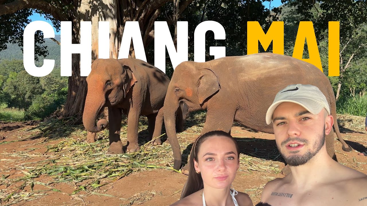 4 Days In Chiang Mai! Elephants, Grand Canyon & Sticky Waterfall!