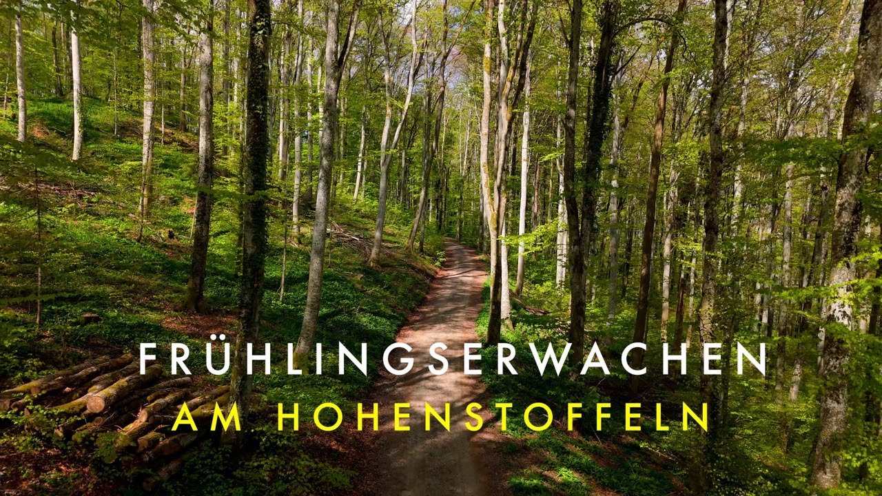 Fr&uuml;hlingserwachen am Hohenstoffeln