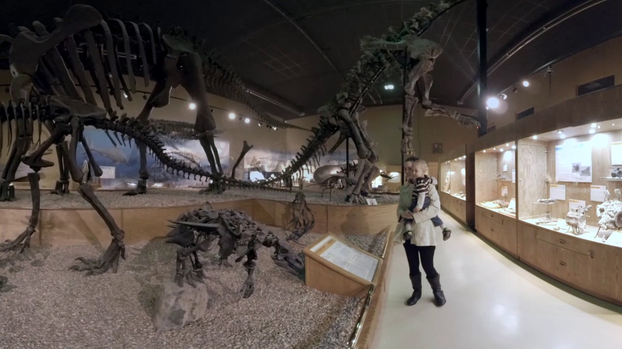 Step into the Wyoming Dinosaur Center in 360 VR | Washington Post Travel
