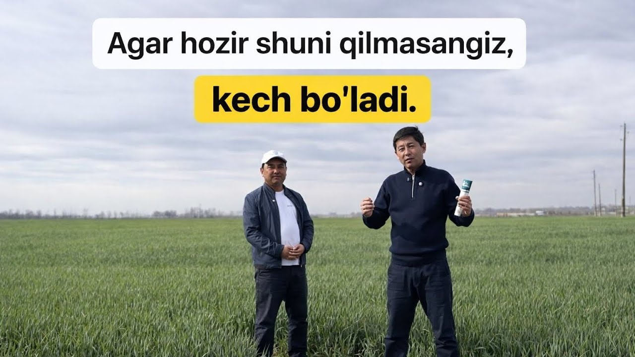 Галла 🌾хосилини мул-кул килиш ✅ сирлари шу каналда! Обуна булишни унутманг!👇🏻👇🏻👇🏻