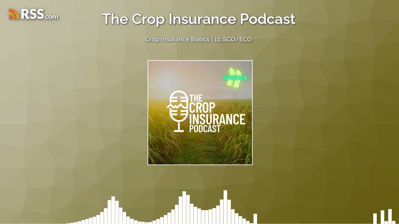 Crop Insurance Basics | 11: SCO/ECO