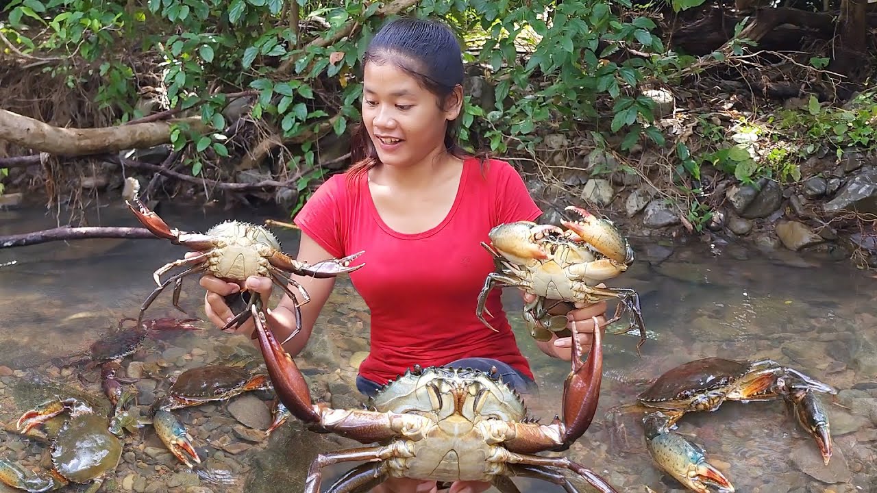 Catch and cook big crabs for lunch - Crabs soup spice Show eating delicious - Survival in forest
