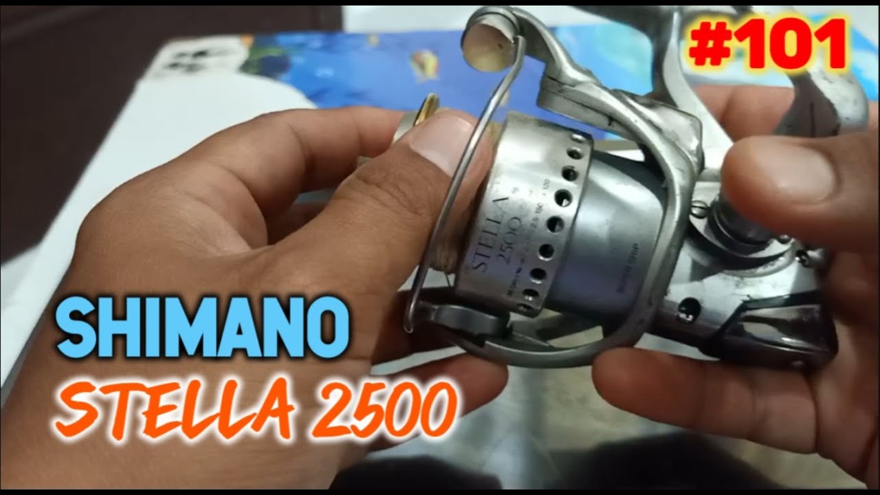 Shimano Stella 2500 - Service & Maintenance