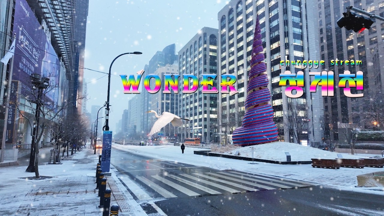 도심 Wonder Stream 청계천 설경 / 눈 내리는 청계천 산책ㅣ움추린 왜가리 / 비상하는 백로 / 제철 만난 청둥오리ㅣCheonggyecheon, city nature