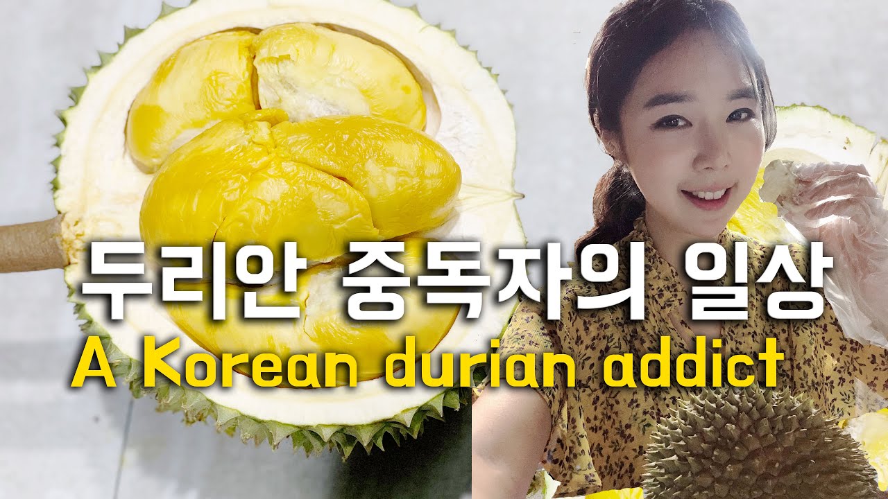 🇸🇬 vlog | 두리안 중독자의 일상 (A Korean durian addict, 싱가폴 20대 주부 일상 브이로그)