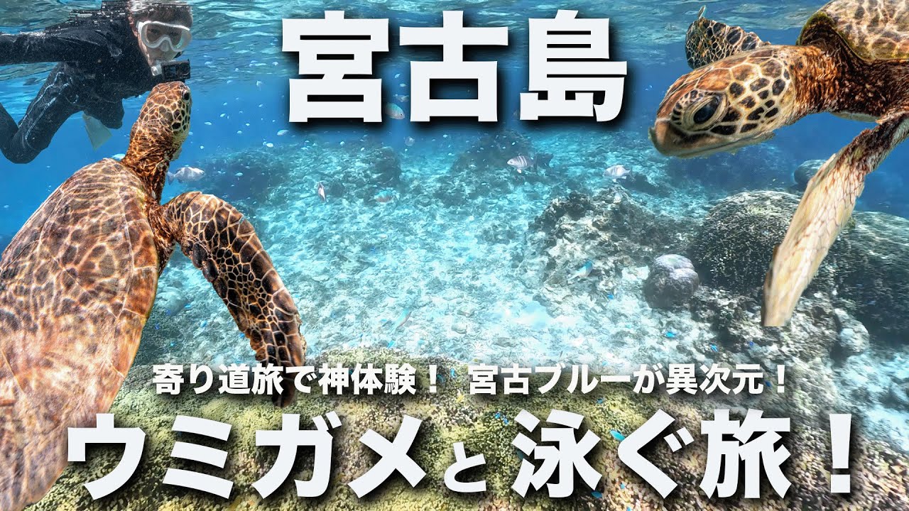 【おすすめツアー紹介】宮古ブルー最強！多良間島→宮古島。寄り道旅でウミガメと出会った感動の瞬間！