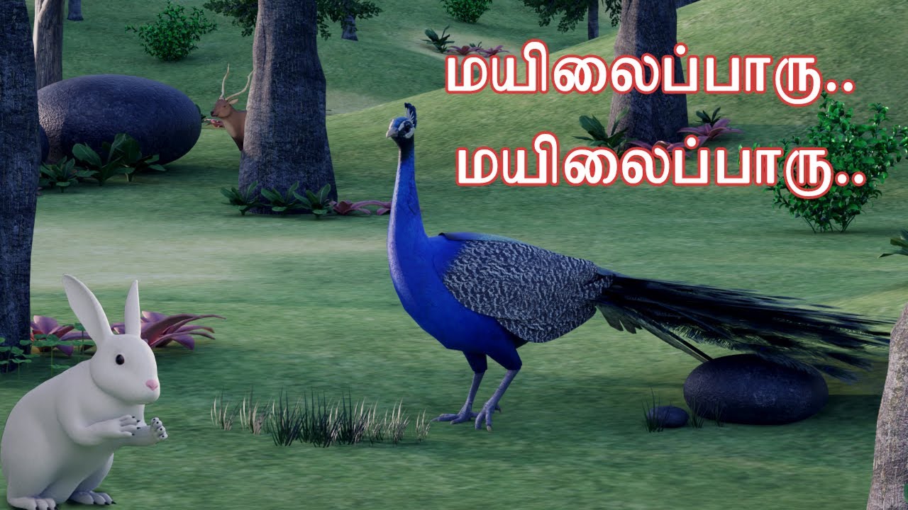 மயிலைப்பாரு மயிலைப்பாரு பாடல்| Mayilai Paaru Song