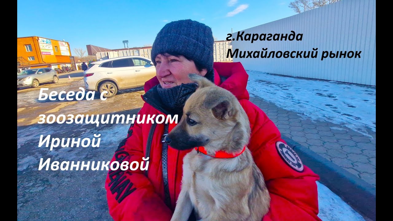 Караганда. Михайловский рынок. Беседа с зоозащитником Ириной Иванниковой