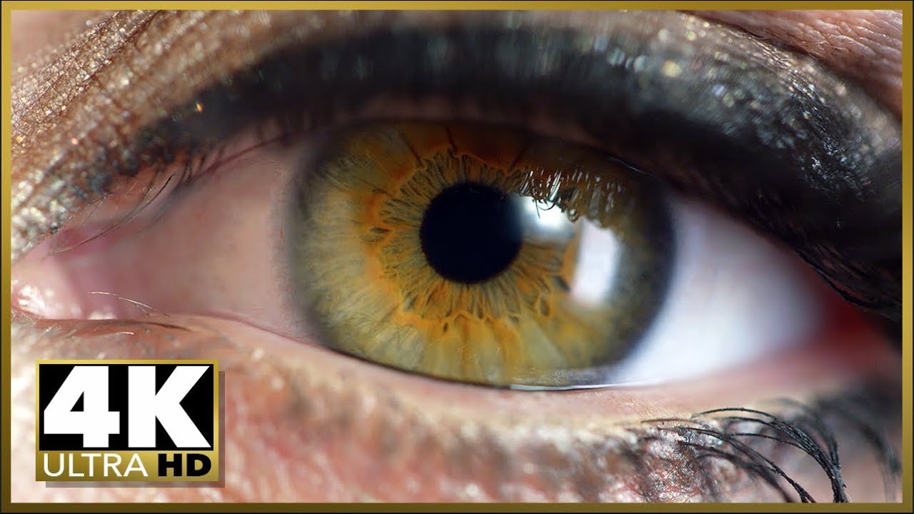 4K Ultra HD Video: Stunning Video Quality. Best 4K Video Resolution Retail Display Demo