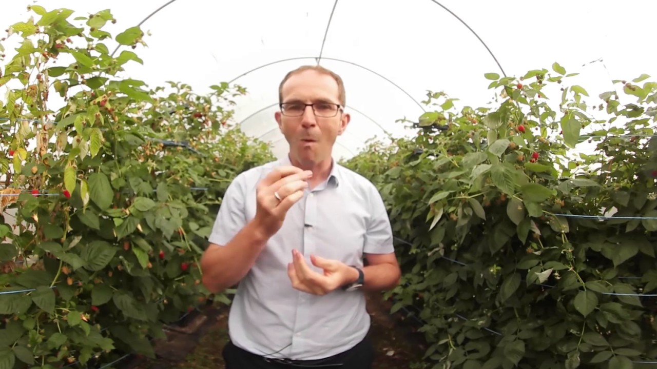 Keelings 360 Farm Tour