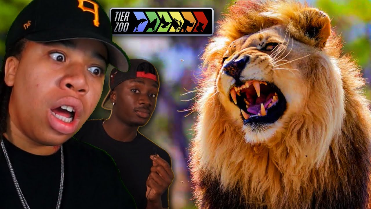THE ANIMAL COLLAB WE ALL NEEDED 🔥 (Casual Geographic) (TierZoo)