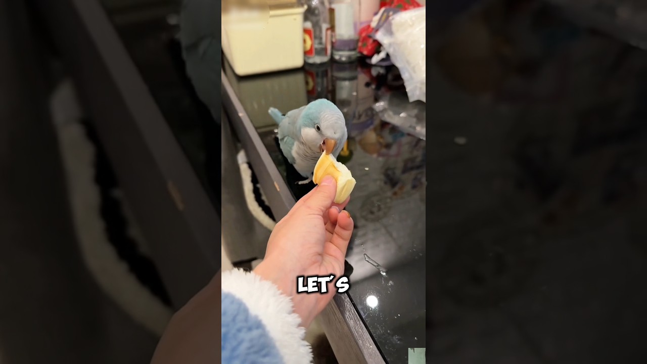 История о дележе хлеба 🍞😂|| #шорты
