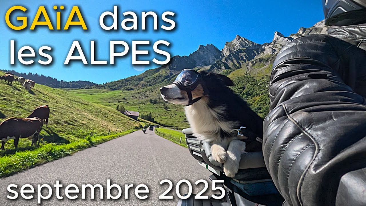 Gaïa dans les Alpes - septembre 2025