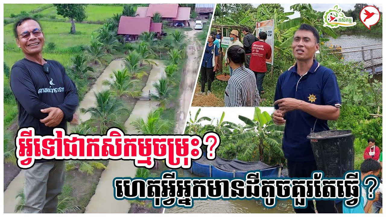 អ្វីទៅជាកសិកម្មចម្រុះ? ហេតុអ្វីអ្នកមានដីតូចគួរតែធ្វើ? | កម្មវិធីកសិកម្ម
