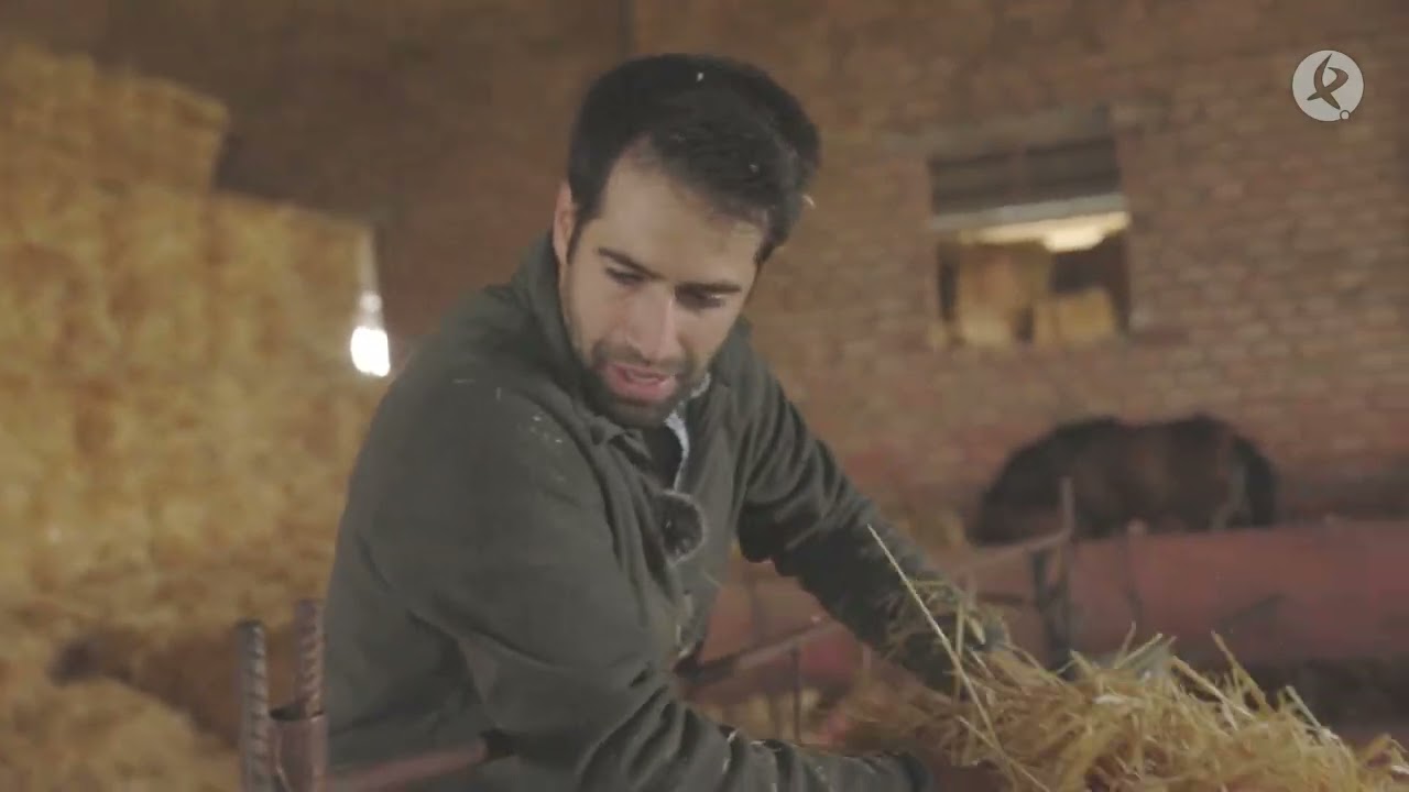 Así hacen Los Mellis sus pacas de paja | El campo es vida