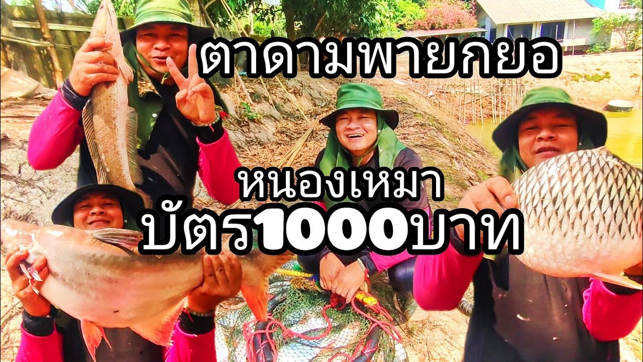 Ep18ปี67หนองด่าน1000บาทมันส์มาก