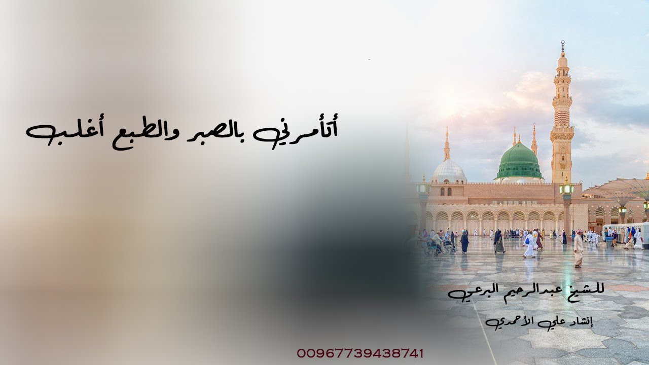 أتأمرني بالصبر والطبع أغلب - إنشاد علي الأحمدي الوصابي