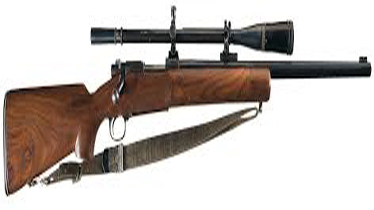 PAYDAY 2 - Platypus 70 Sniper Rifle