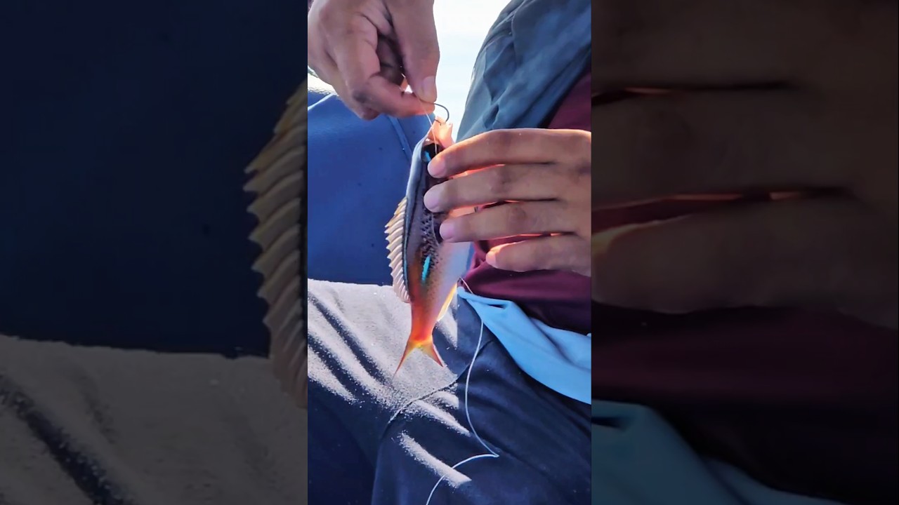 рыбалка дело такое..ох..:) 