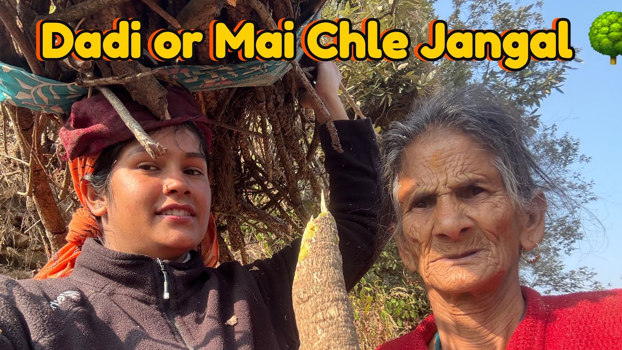 मुझे भी ले गई जंगल जबरदस्त 🥺🍀# Dadi और मैं लाए लकड़ी 🪵 🥰