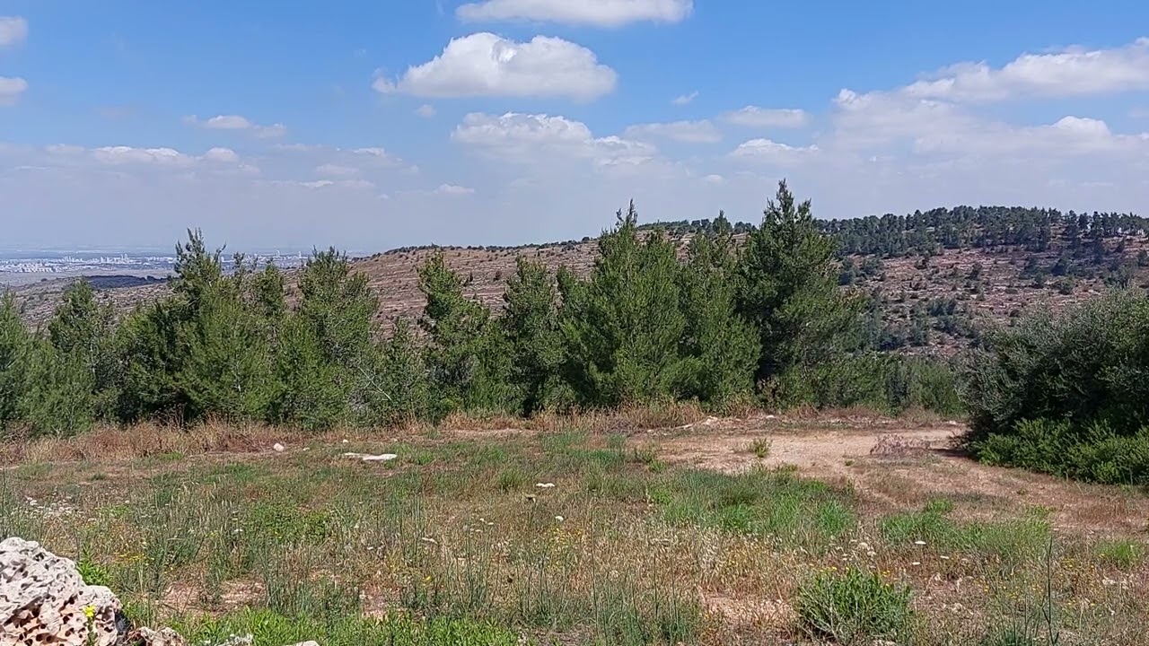 מ ל ח מ ה   ע