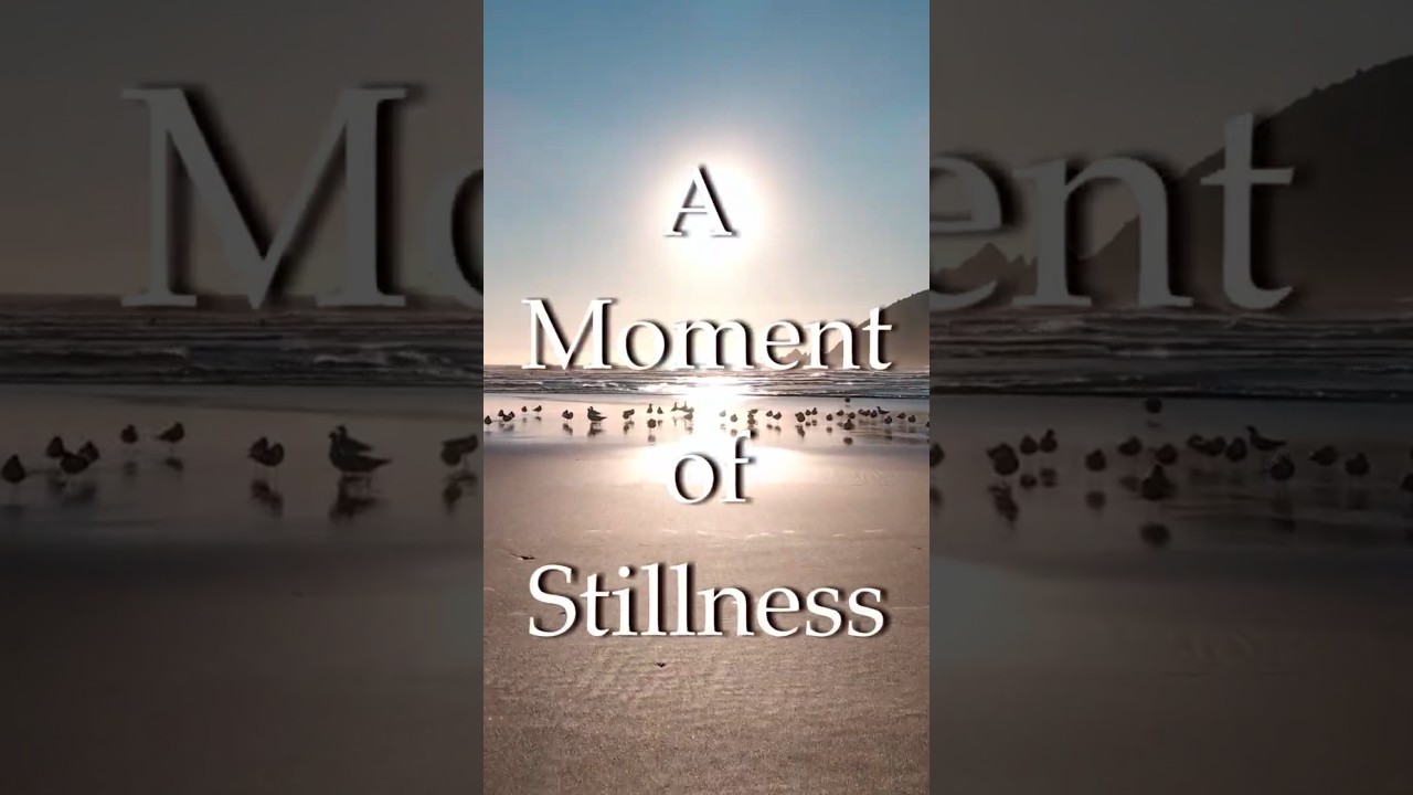 A Moment of Stillness 1 