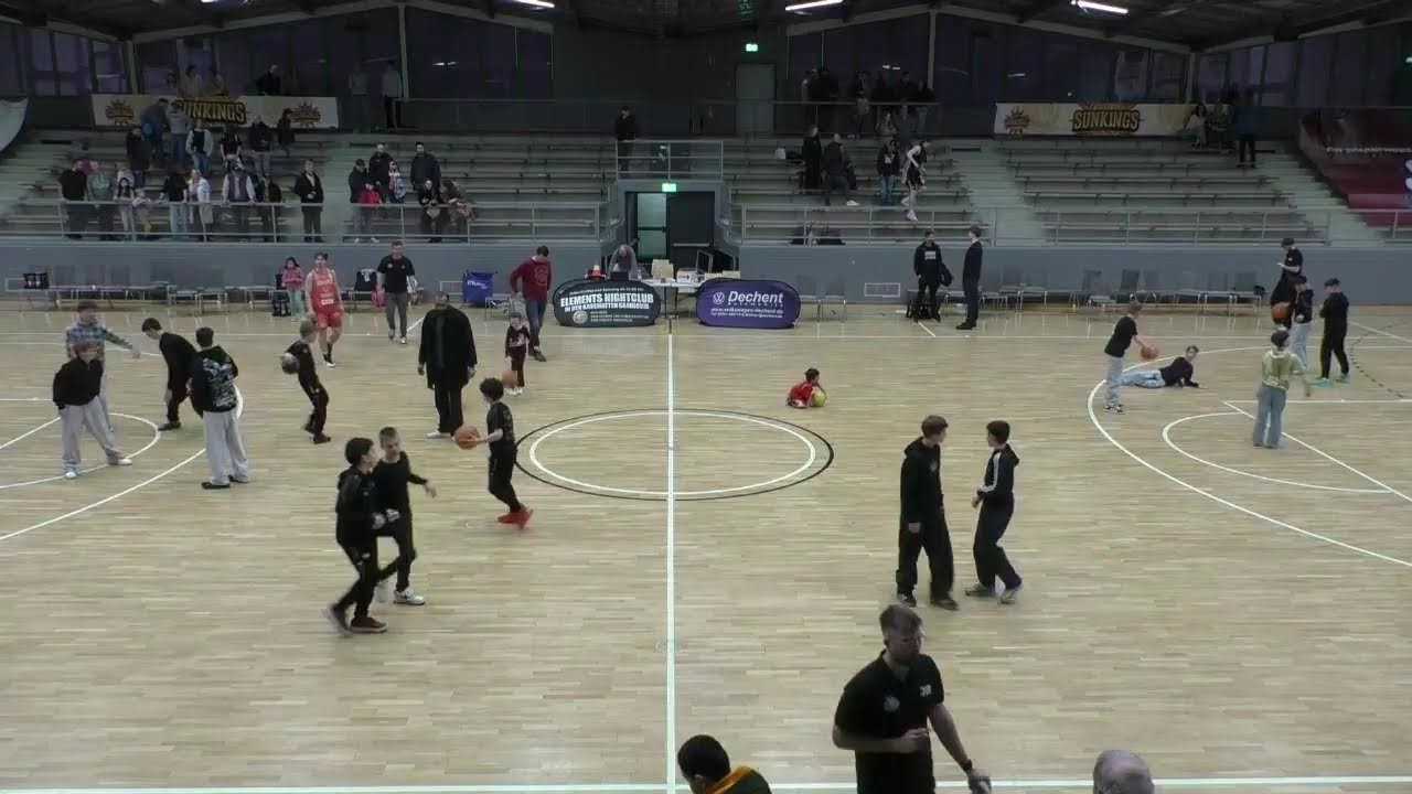 Artemis Sunkings Saarlouis vs io College Wizards Karlsruhe