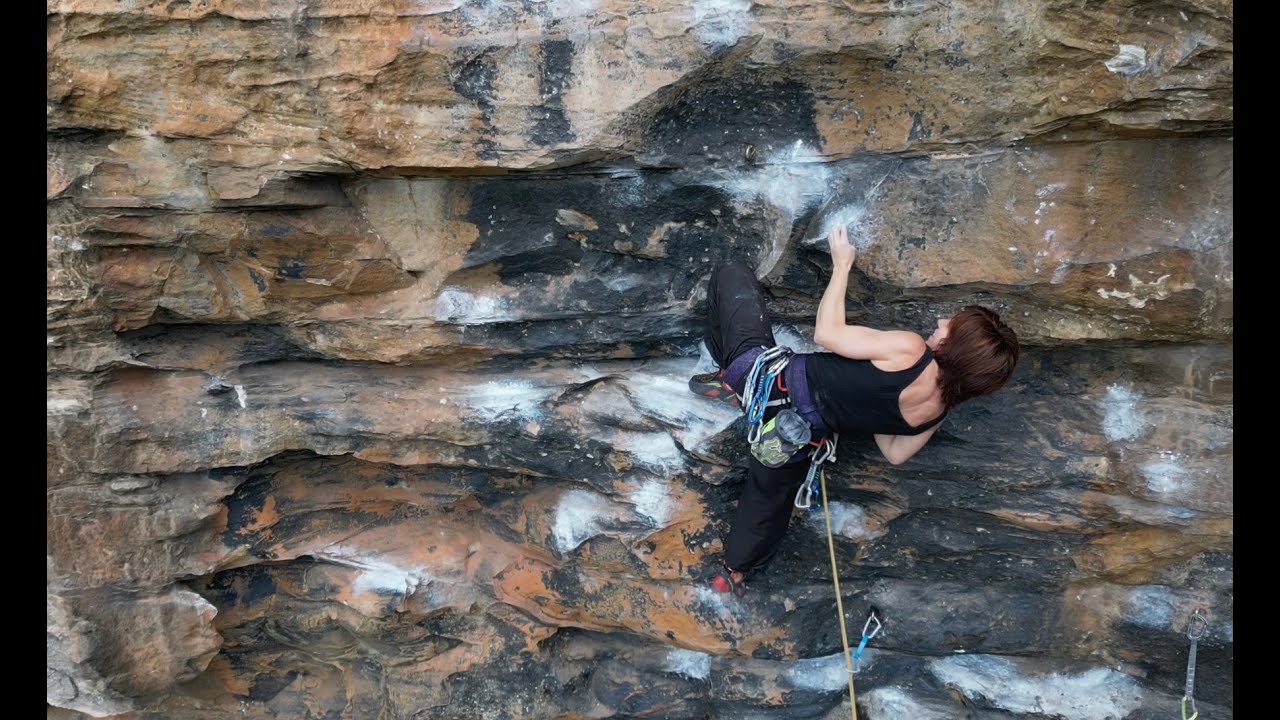 Learning from the Masters: Dr Stein (25) Logan Brae