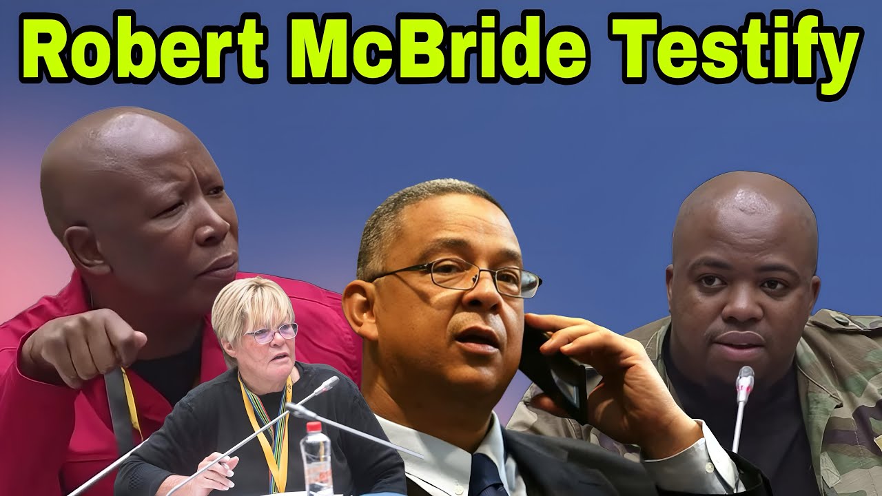 Robert McBride Testifies at the Ad Hoc Committee on Mkhwanazi allegations.