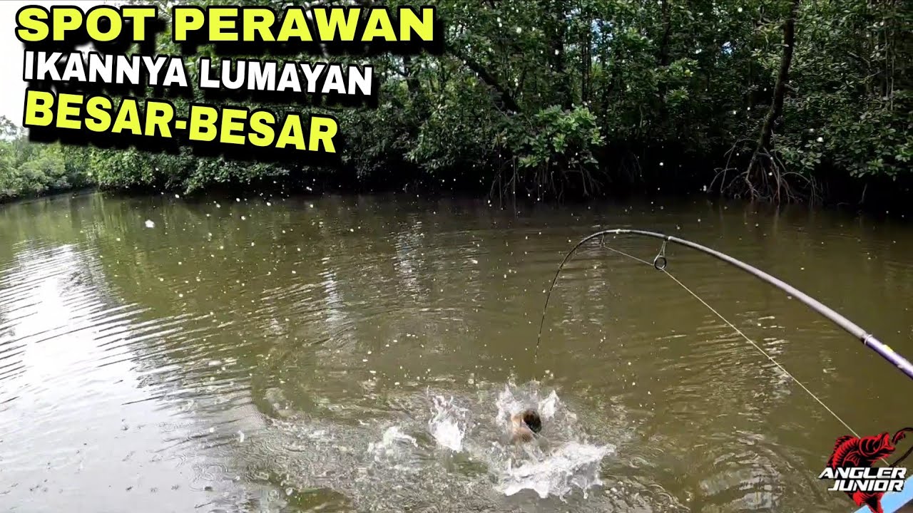 MANCING DI SUNGAI MUARA YANG MASIH SANGAT ASRI