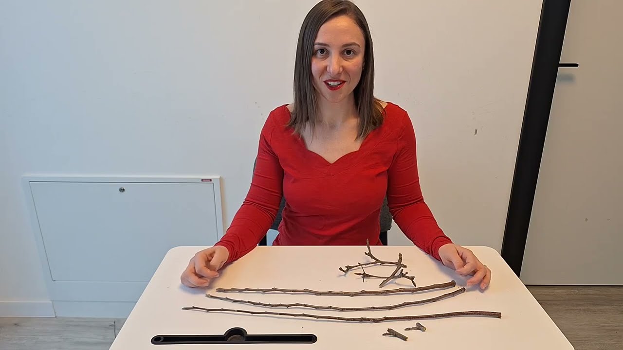 Ramuri de rod la mar. Cel mai complet si educativ video pentru incepatori si avansati Baza taierilor