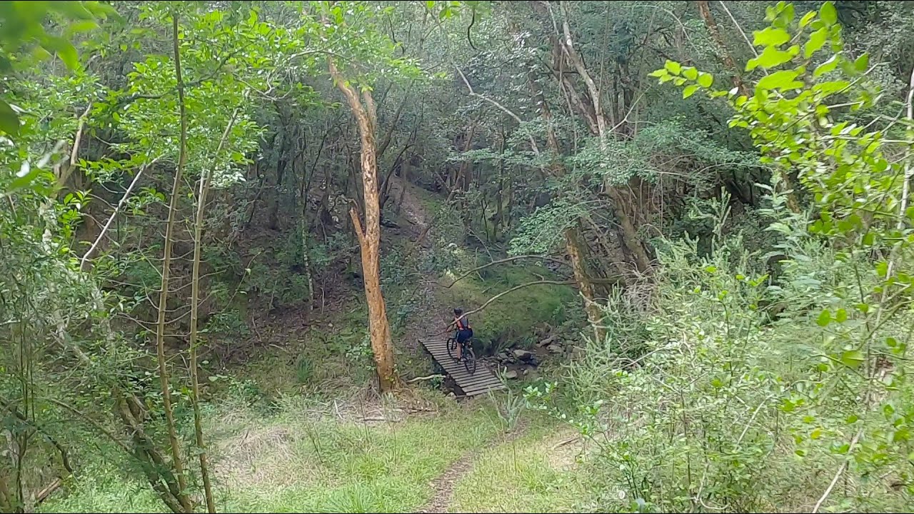 Grootvadersbosch MTB Red Route