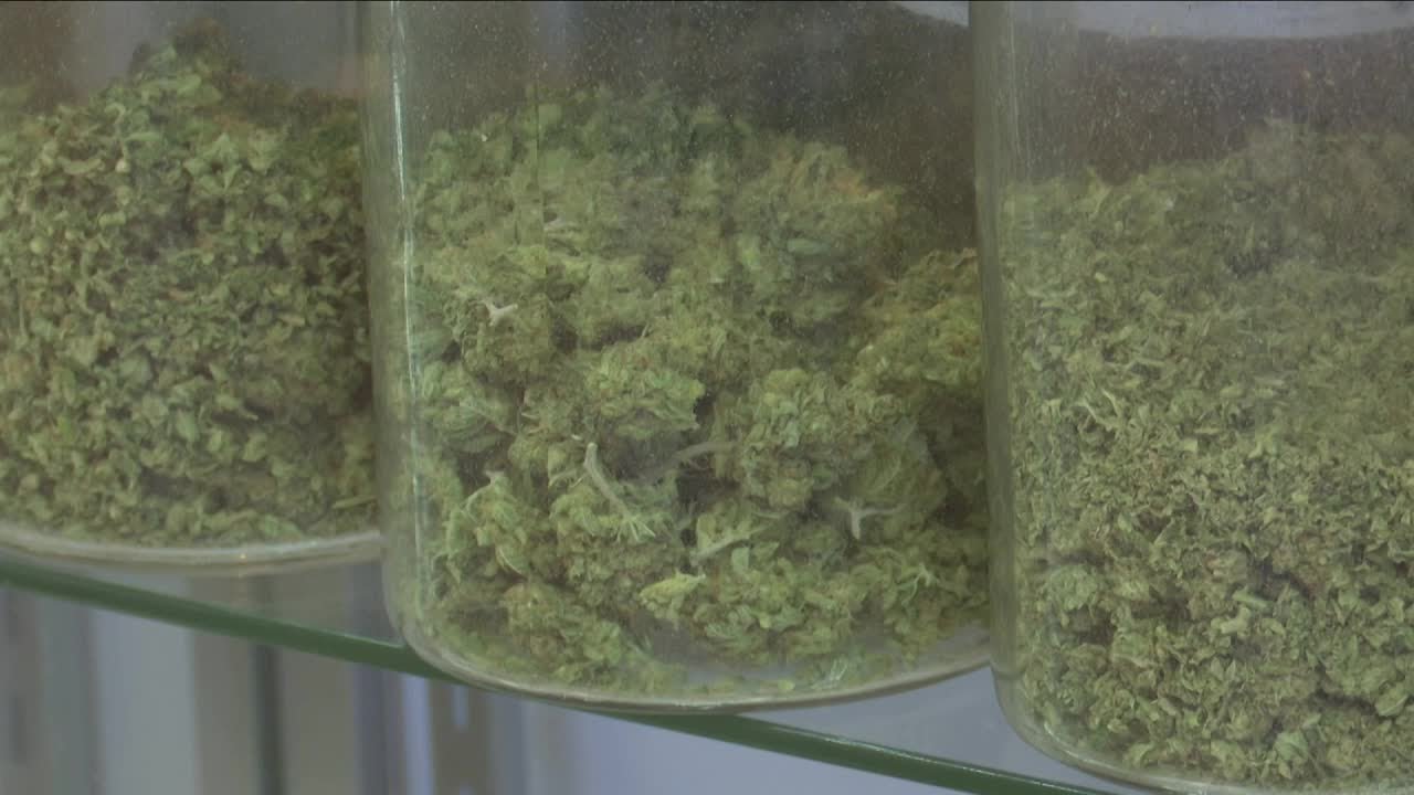Montana Supreme Court tosses out marijuana initiative challenge