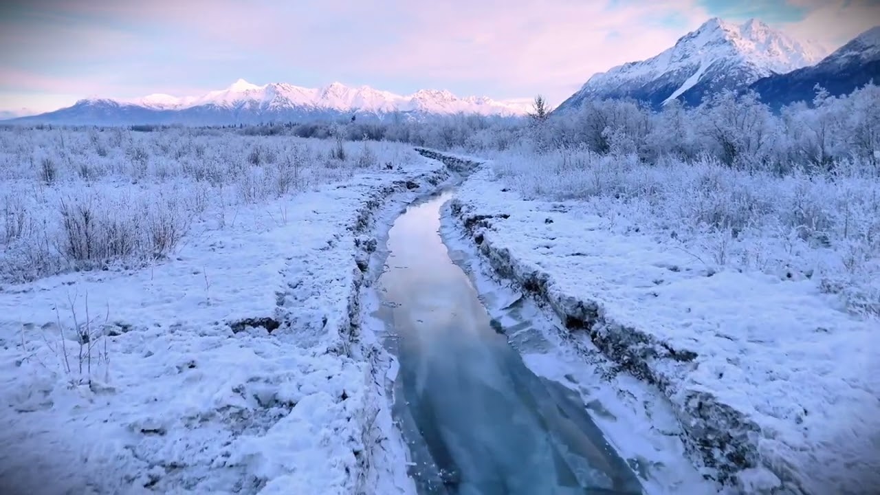 Palmer Hay Flats Alaska February 13th 2026