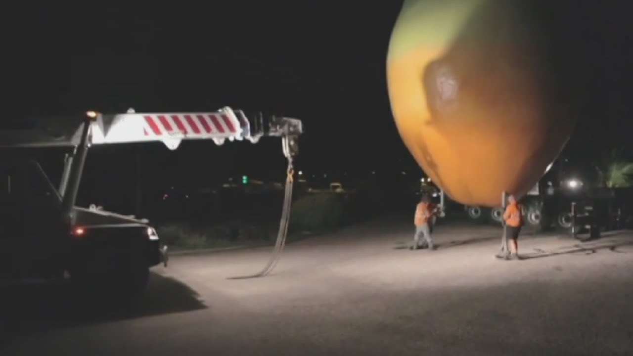 Nando's steal giant Australian mango: CCTV shows mango heist