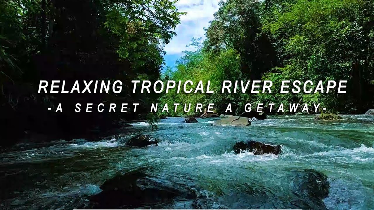 Relaxing Tropical River Escape – A Secret Nature Getaway