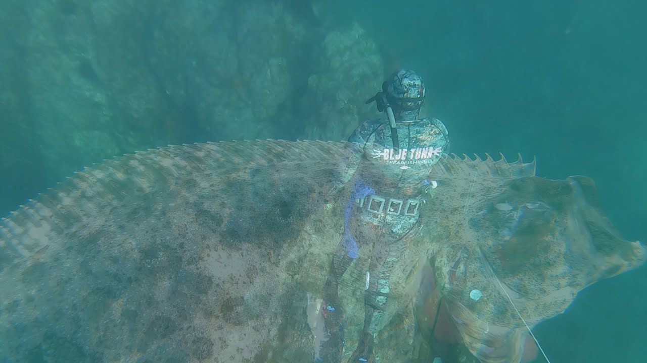 Haliween: The Spirit of Spearfishing Halibut